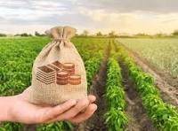 agriculture loans